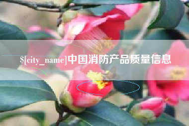 邵东中国消防产品质量信息