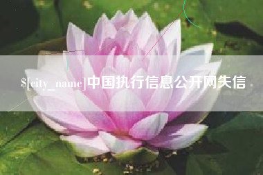 邵东中国执行信息公开网失信