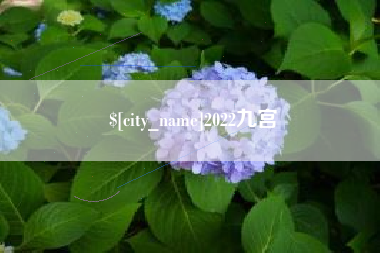 邵东2022九宫