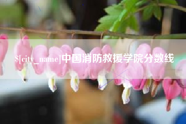 邵东中国消防救援学院分数线