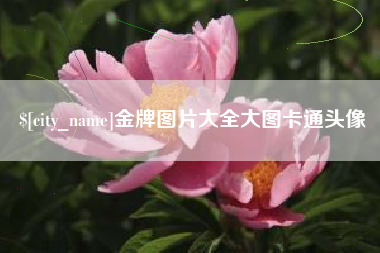 邵东金牌图片大全大图卡通头像