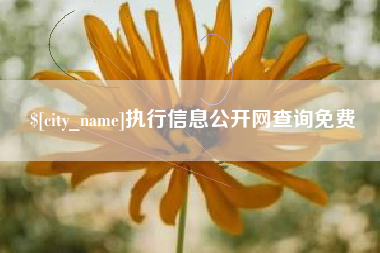 邵东执行信息公开网查询免费