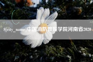 邵东中国消防救援学院河南省2020